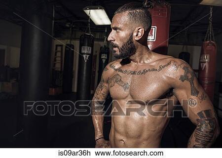 Portrait of tattooed male boxer with hands on hips in gym View Large Photo Image Stock Image - Portrait of tattooed male boxer with hands on hips in gym. Fotosearch