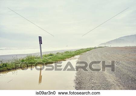 "Puddle at roadside, Redwood Highway, Trinidad, California, USA" View Large Photo Image Stock Image - "Puddle at roadside, Redwood Highway, Trinidad, California, USA". Fotosearch