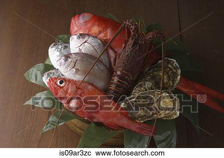 Raw fish and other seafood View Large Photo Image Stock Image - Raw fish and other seafood. Fotosearch