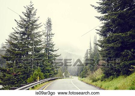 "Redwood Highway, route 101, Eureka, California, USA" View Large Photo Image Picture - "Redwood Highway, route 101, Eureka, California, USA". Fotosearch