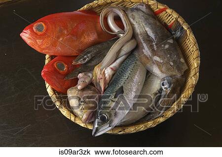 Selection of raw fresh fish in basket View Large Photo Image Stock Image - Selection of raw fresh fish in basket. Fotosearch