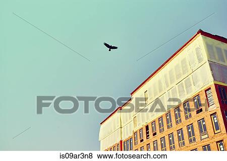 Stock Photo - Silhouette of bird flying over building under construction with blue sky. Fotosearch