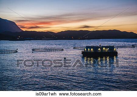 "Silhouetted view of fish farm at sunset, Reine, Lofoten, Norway" View Large Photo Image Stock Image - "Silhouetted view of fish farm at sunset, Reine, Lofoten, Norway". Fotosearch
