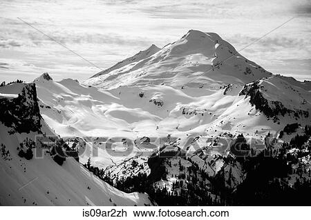 "Snow covered view of Mount Baker, Washington, USA" View Large Photo Image Stock Image - "Snow covered view of Mount Baker, Washington, USA". Fotosearch