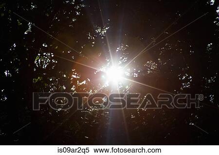 Sunlight shining through trees View Large Photo Image Stock Photography - Sunlight shining through trees. Fotosearch