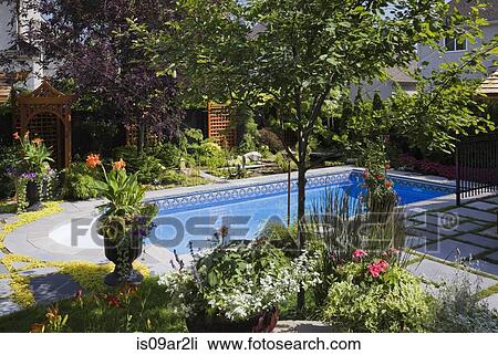 Swimming pool and planted borders in landscaped residential home View Large Photo Image Stock Image - Swimming pool and planted borders in landscaped residential home. Fotosearch