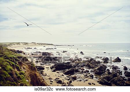 "View of rocky coastline, Big Sur, California, USA" View Large Photo Image Stock Image - "View of rocky coastline, Big Sur, California, USA". Fotosearch