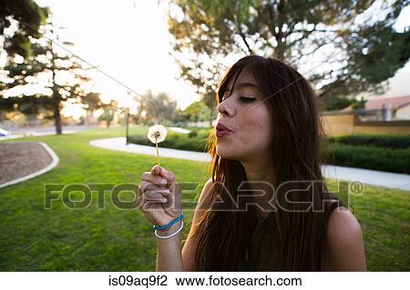 Young woman blowing dandelion clock in park View Large Photo Image Stock Image - Young woman blowing dandelion clock in park. Fotosearch
