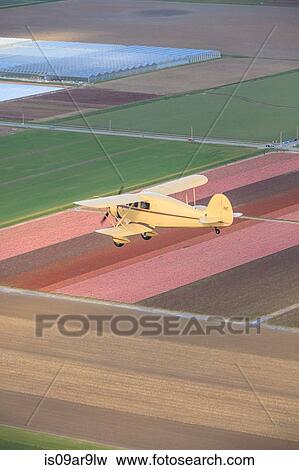 Bi-plane flying above flower fields View Large Photo Image Stock Photo - Bi-plane flying above flower fields. Fotosearch
