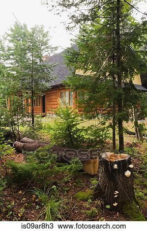 Cottage style log home in summer, Quebec, Canada View Large Photo Image Stock Image - Cottage style log home in summer, Quebec, Canada. Fotosearch