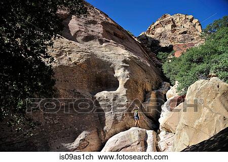 Distant view of young female rock climber climbing Mount Wilson, Nevada, USA View Large Photo Image Stock Image - Distant view of young female rock climber climbing Mount Wilson, Nevada, USA. Fotosearch