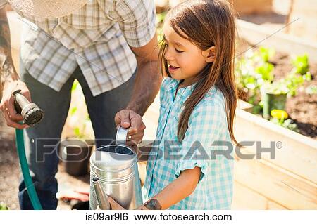Stock Photograph - Father filling watering can for girl in community garden. Fotosearch