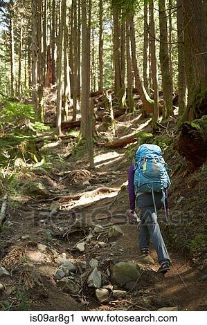 Female backpacker hiking in woods View Large Photo Image Stock Image - Female backpacker hiking in woods. Fotosearch
