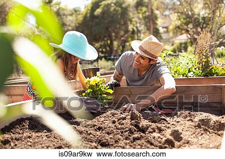 Girl and father planting flower bed in community garden View Large Photo Image Stock Photo - Girl and father planting flower bed in community garden. Fotosearch