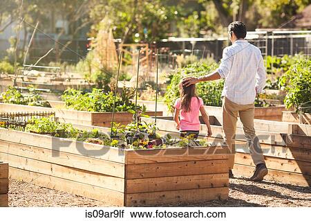 Stock Image - Girl walking with father in community garden. Fotosearch