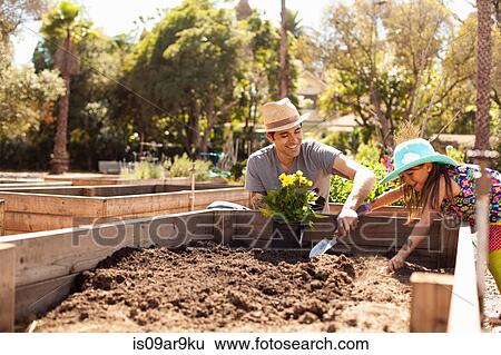 Stock Photograph - Mid adult man and daughter digging flower bed in community garden. Fotosearch