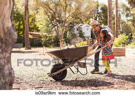 Mid adult man and daughter in community garden pushing wheelbarrow View Large Photo Image Picture - Mid adult man and daughter in community garden pushing wheelbarrow. Fotosearch