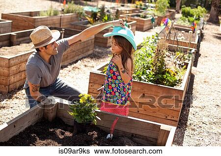 Mid adult man putting sunhat on daughter in community garden View Large Photo Image Stock Photograph - Mid adult man putting sunhat on daughter in community garden. Fotosearch