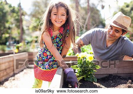 Portrait of girl in community garden planting with father View Large Photo Image Stock Photo - Portrait of girl in community garden planting with father. Fotosearch