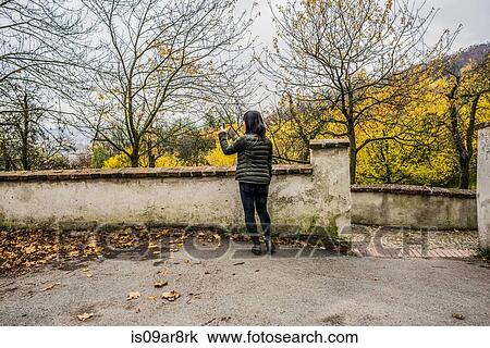 Woman using smartphone to take photogragh of trees in autumn View Large Photo Image Stock Image - Woman using smartphone to take photogragh of trees in autumn. Fotosearch