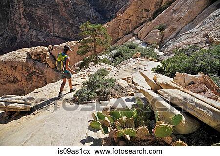 Young female hiker hiking on rocks, Mount Wilson, Nevada, USA View Large Photo Image Stock Photo - Young female hiker hiking on rocks, Mount Wilson, Nevada, USA. Fotosearch