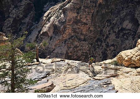 Young female hiker walking on rock, Mount Wilson, Nevada, USA View Large Photo Image Stock Photograph - Young female hiker walking on rock, Mount Wilson, Nevada, USA. Fotosearch