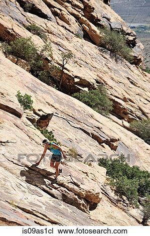 Young female rock climber climbing steep rockface, Mount Wilson, Nevada, USA View Large Photo Image Stock Image - Young female rock climber climbing steep rockface, Mount Wilson, Nevada, USA. Fotosearch