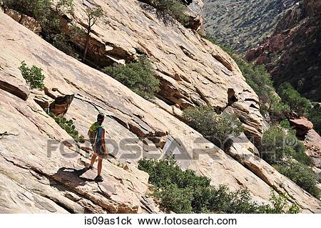 Young female rock climber looking out from steep rockface, Mount Wilson, Nevada, USA View Large Photo Image Stock Image - Young female rock climber looking out from steep rockface, Mount Wilson, Nevada, USA. Fotosearch