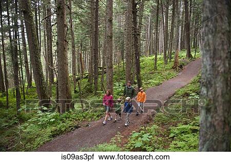 Stock Image - Family exploring woods, Winner Creek, Alyeska Resort, Turnagain Arm, Mt. Alyeska, Girdwood, Alaska, USA. Fotosearch
