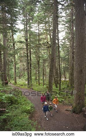 Family exploring woods, Winner Creek, Alyeska Resort, Turnagain Arm, Mt. Alyeska, Girdwood, Alaska, USA View Large Photo Image Stock Image - Family exploring woods, Winner Creek, Alyeska Resort, Turnagain Arm, Mt. Alyeska, Girdwood, Alaska, USA. Fotosearch