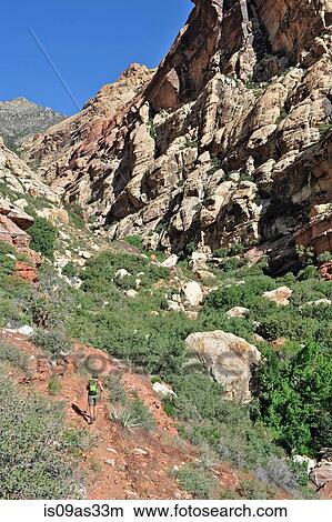 Picture - High angle rear view of hiker walking toward rock face, First Creek, Las Vegas, Nevada, USA. Fotosearch