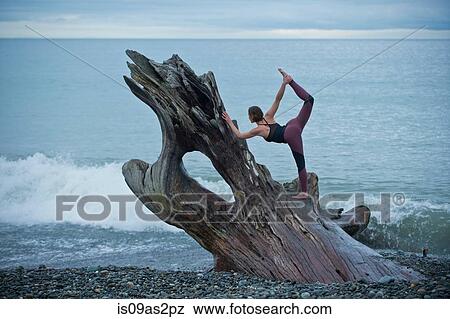Mature woman practicing yoga position on large driftwood tree trunk at beach View Large Photo Image Stock Photo - Mature woman practicing yoga position on large driftwood tree trunk at beach. Fotosearch