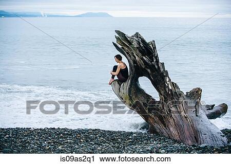 Mature woman sitting on large driftwood tree trunk at beach View Large Photo Image Stock Image - Mature woman sitting on large driftwood tree trunk at beach. Fotosearch