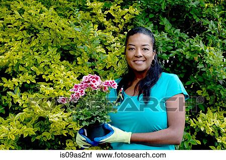 Portrait of mature woman with flowering pot plant in garden View Large Photo Image Stock Image - Portrait of mature woman with flowering pot plant in garden. Fotosearch