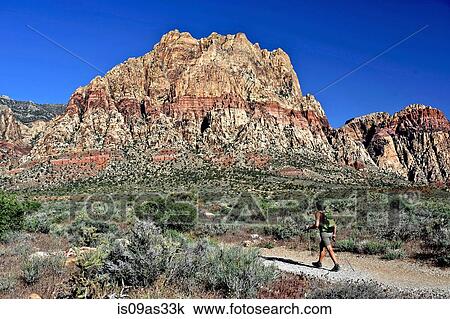 Rear view of hiker walking along trail, First Creek, Las Vegas, Nevada, USA View Large Photo Image Stock Image - Rear view of hiker walking along trail, First Creek, Las Vegas, Nevada, USA. Fotosearch