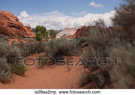 Stock Photography - Snow Canyon State Park landscape, Ivins, Utah, USA. Fotosearch