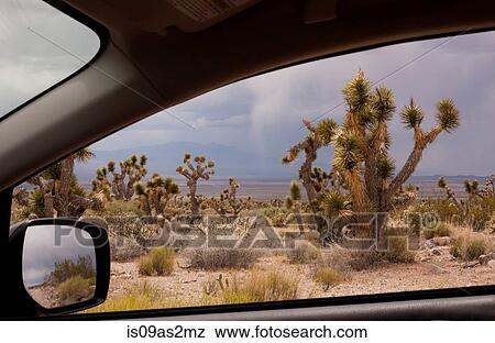 View of joshua trees from car window, Snow Canyon State Park, Utah, USA View Large Photo Image Stock Photo - View of joshua trees from car window, Snow Canyon State Park, Utah, USA. Fotosearch