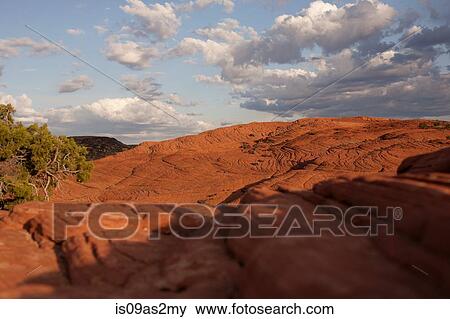 View of petrified dune, Snow Canyon State Park, Utah, USA View Large Photo Image Stock Photo - View of petrified dune, Snow Canyon State Park, Utah, USA. Fotosearch