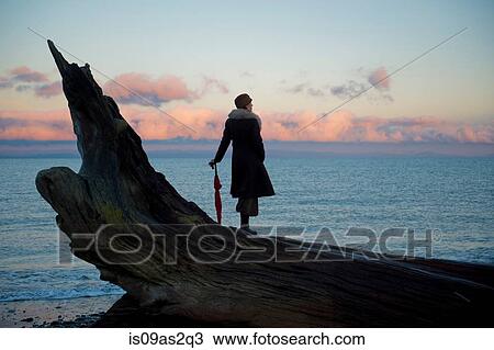 Woman leaning on umbrella standing on large driftwood tree trunk on beach View Large Photo Image Stock Image - Woman leaning on umbrella standing on large driftwood tree trunk on beach. Fotosearch