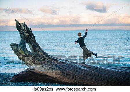 Woman standing on large driftwood tree trunk on beach View Large Photo Image Stock Photograph - Woman standing on large driftwood tree trunk on beach. Fotosearch