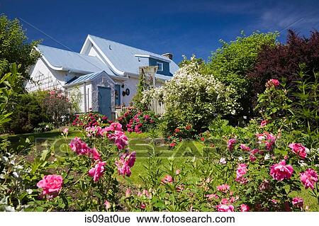 House with garden full of flowers, spring View Large Photo Image Stock Image - House with garden full of flowers, spring. Fotosearch