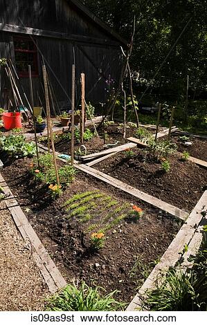Organic flower and vegetable garden plots next to barn in rustic backyard garden in spring season View Large Photo Image Stock Photograph - Organic flower and vegetable garden plots next to barn in rustic backyard garden in spring season. Fotosearch