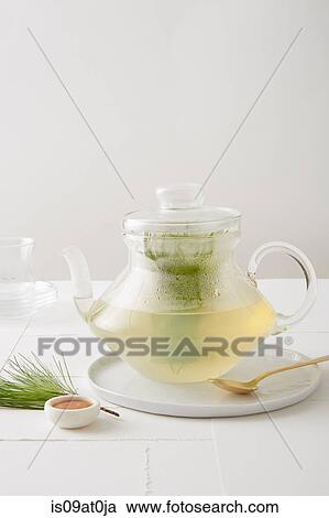 Still life of evergreen tea (pine tea) with organic honey View Large Photo Image Stock Image - Still life of evergreen tea (pine tea) with organic honey. Fotosearch