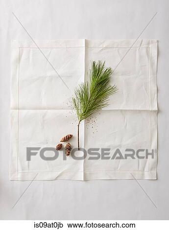 Stock Image - Still life of pine needles and small pine cones on napkin. Fotosearch