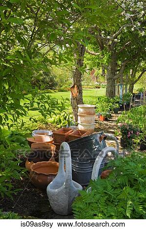 Terracotta and cement flower pots next to fern plants (pteridophyta) and row of deciduous trees in backyard garden in spring season View Large Photo Image Stock Photo - Terracotta and cement flower pots next to fern plants (pteridophyta) and row of deciduous trees in backyard garden in spring season. Fotosearch