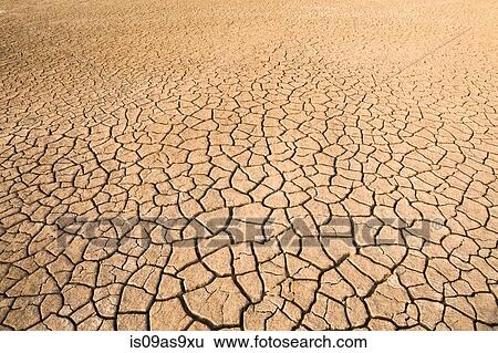 View of dried cracked mud on floodplain, Djoudj National Park, Senegal View Large Photo Image Stock Photograph - View of dried cracked mud on floodplain, Djoudj National Park, Senegal. Fotosearch
