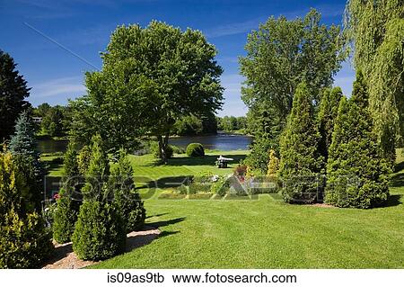 View of the Ouareau river in garden with lawns and Cedar trees (thuja occidentalis) in spring season, Quebec, Canada View Large Photo Image Stock Image - View of the Ouareau river in garden with lawns and Cedar trees (thuja occidentalis) in spring season, Quebec, Canada. Fotosearch