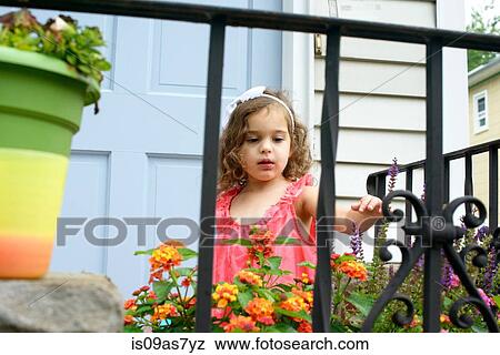 Young girl, outside, looking at flowers in flower box View Large Photo Image Stock Photo - Young girl, outside, looking at flowers in flower box. Fotosearch