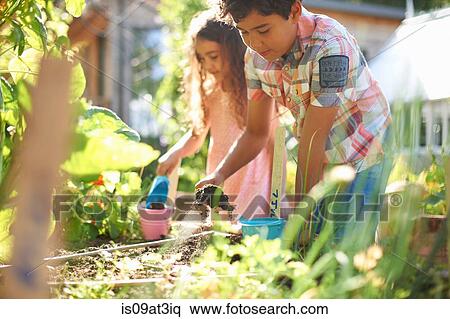 Boy and girl digging raised plant bed in garden View Large Photo Image Stock Photography - Boy and girl digging raised plant bed in garden. Fotosearch