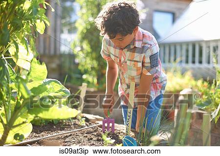 Stock Photography - Boy digging raised plant bed in garden. Fotosearch